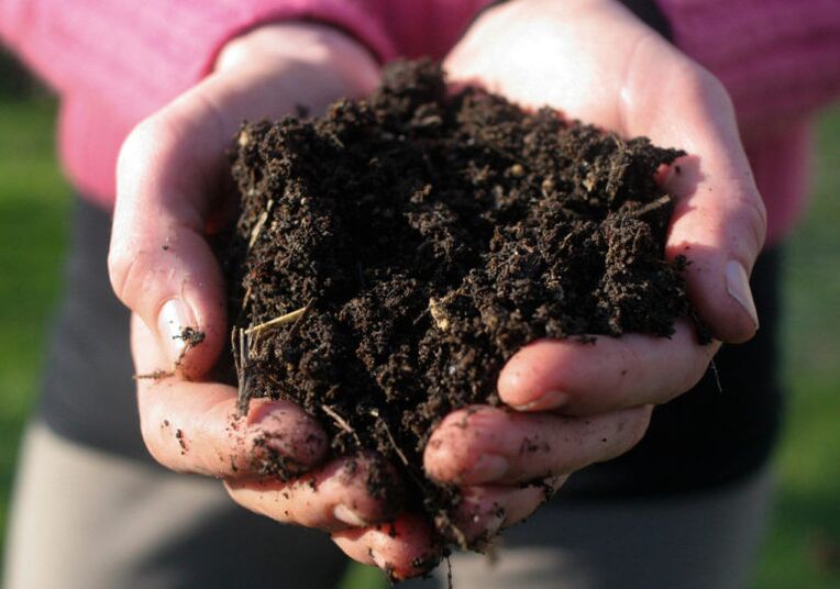 Soil treatment is the cause of parasite infection