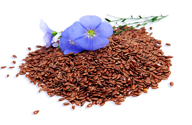 Flax seed parasites