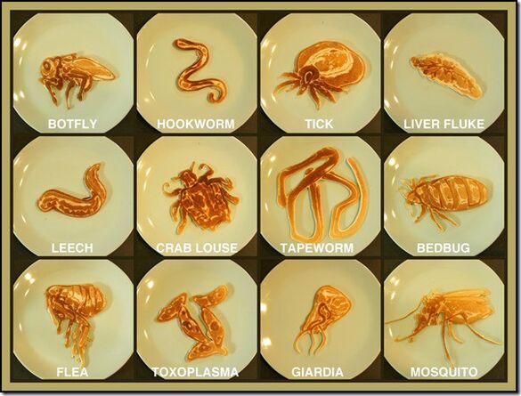 Parasite