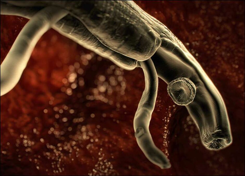 parasites inside human body