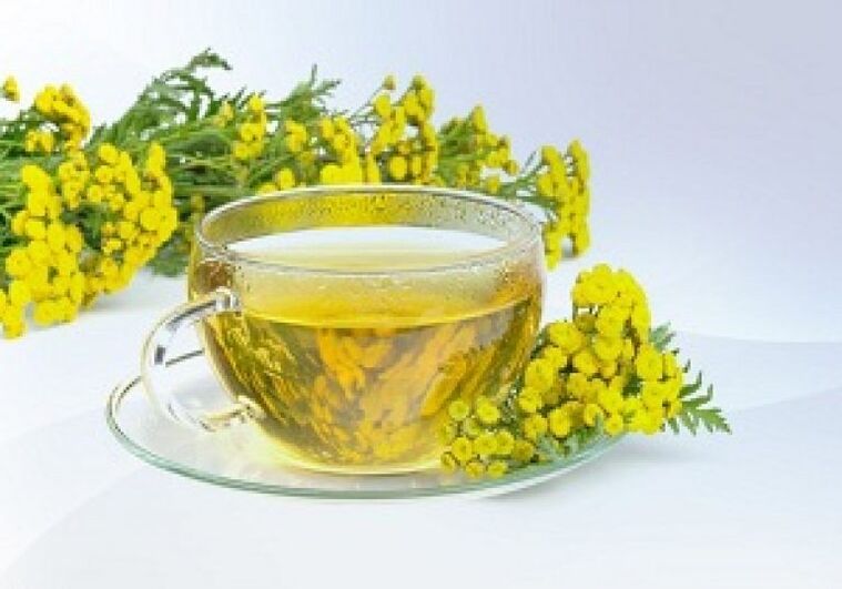 Tansy infusion helps clear parasites from the body