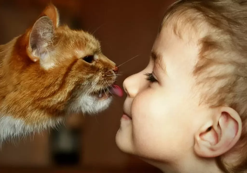 Boy infected with worms after kissing cat